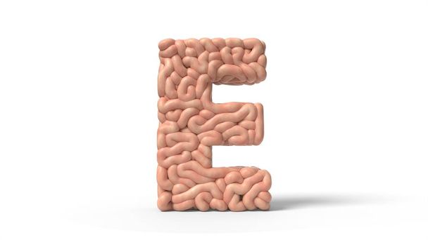cervello umano in forma di lettera E. Illustrazione 3D
 - Foto, immagini