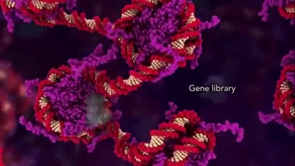 Genomická knihovna, sbírka DNA - Záběry, video