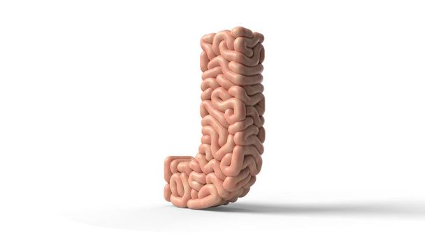 cérebro humano em forma de letra J Ilustração 3D
 - Foto, Imagem