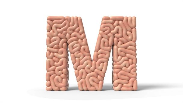 cervello umano in forma di lettera M. Illustrazione 3D
 - Foto, immagini