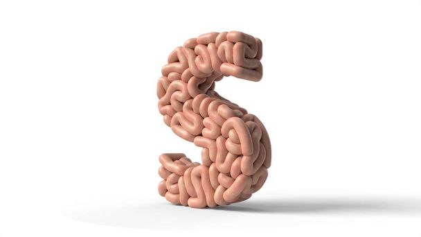 human brain in shape of letter S. 3D illustration - Fotoğraf, Görsel