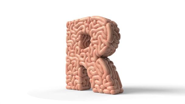 ανθρώπινος εγκέφαλος σε σχήμα του γράμματος R. 3d εικονογράφηση - Φωτογραφία, εικόνα