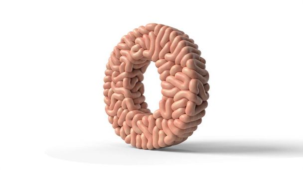 emberi agy O betű formájában 3d illusztráció - Fotó, kép