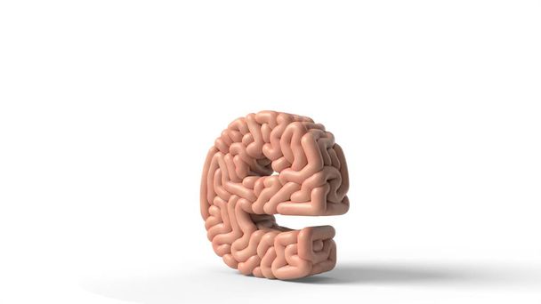 menselijk brein in de vorm van letter E. 3d illustratie - Foto, afbeelding
