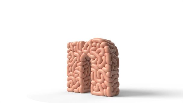 ανθρώπινο εγκέφαλο σε σχήμα του γράμματος N. 3d εικονογράφηση - Φωτογραφία, εικόνα