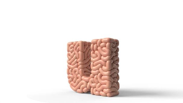 ανθρώπινος εγκέφαλος σε σχήμα γράμματος u. 3D εικονογράφηση - Φωτογραφία, εικόνα