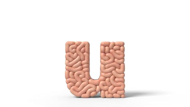 cervello umano in forma di lettera U. Illustrazione 3D
 - Foto, immagini