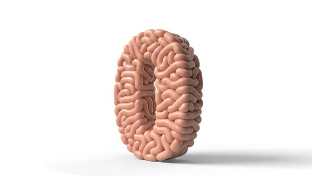 cervello umano in forma di numero 0. Illustrazione 3D
 - Foto, immagini