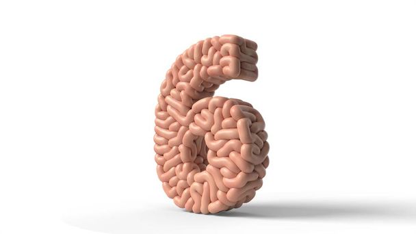 lidský mozek ve tvaru čísla6. 3D ilustrace - Fotografie, Obrázek
