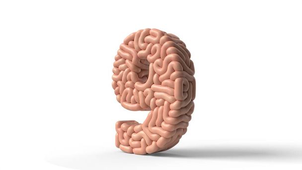 ανθρώπινος εγκέφαλος σε σχήμα 9. 3D εικονογράφηση - Φωτογραφία, εικόνα