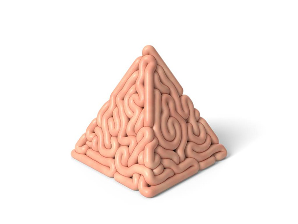 ανθρώπινος εγκέφαλος σε σχήμα πυραμίδας. 3D εικονογράφηση - Φωτογραφία, εικόνα