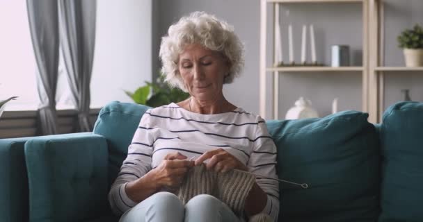 Peaceful middle aged retired hoary woman knitting woolen scarf. - Imágenes, Vídeo