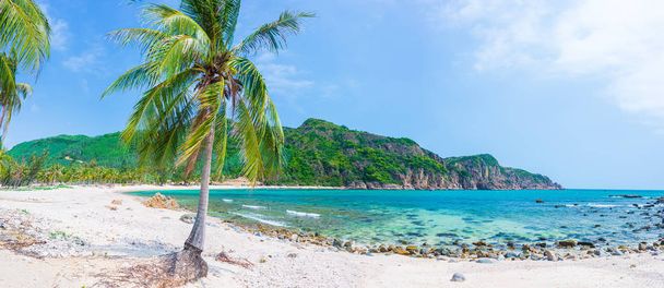 Osamělé tropické pláže tyrkysové transparentní vodní palmy, Bai Om nevyvinutý záliv Quy Nhon Vietnam centrální pobřeží cestovní destinace, pouštní bílá písečná pláž nikdo jasné modré nebe, expanzivní vi - Fotografie, Obrázek