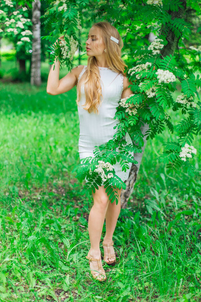 Portrait of a charming blond woman wearing beautiful white dress standing next to rowan tree with white flowers. - Фото, зображення