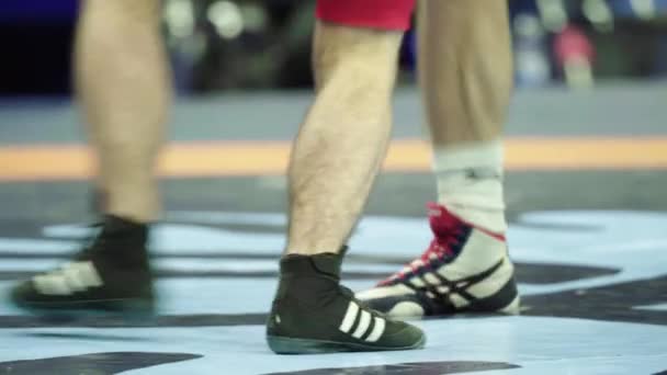 Wrestling. The legs of the wrestlers during the fight. Close-up. - Video