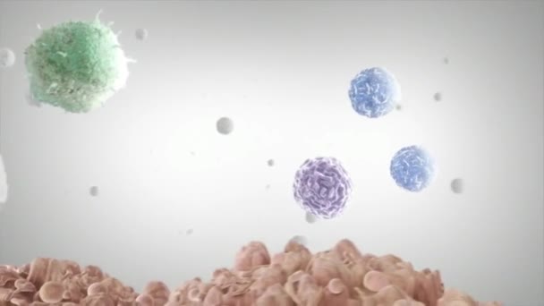 3D-Mikrobiologie Animation von Makrophagen und Tumorzellen - Filmmaterial, Video