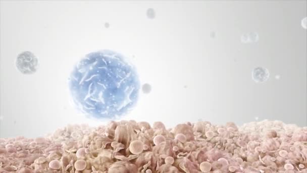3D mikrobiológia A fertőzött mikrobákat lenyelő makrofágok animációja - Felvétel, videó