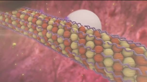 3D lékařská animace mikrotubulu - Záběry, video