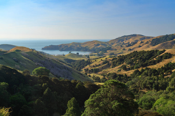Een kustzicht op het schiereiland Coromandel, Nieuw-Zeeland, in het midden van de zomer. Grassige glooiende heuvels ontmoeten de oceaan. Bovenaan de foto is de kleine nederzetting van Kirita Bay - Foto, afbeelding