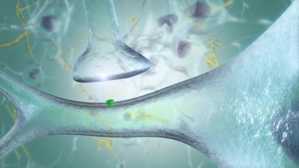 A neuronok az idegrendszer elsődleges összetevői, valamint a gliasejtek, amelyek strukturális és anyagcsere-támogatást nyújtanak számukra. - Felvétel, videó