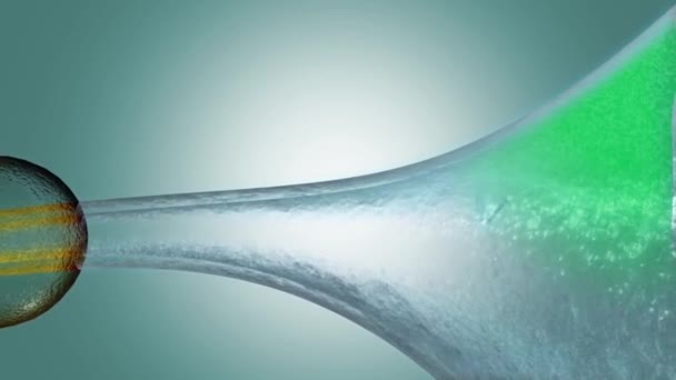 Sinir sisteminin 3 boyutlu tıbbi animasyonu. Nöronda potasyumlar - Video, Çekim