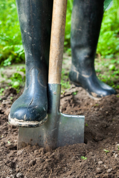Foot in rubber boot on the metal spade - Photo, Image