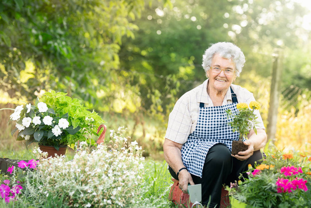 Happy senior woman gardening - Foto, afbeelding