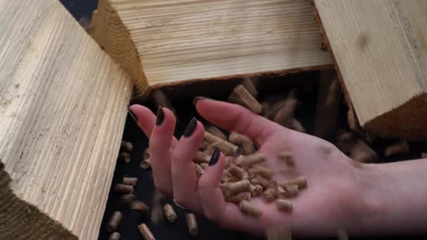 Pellet vallen in de hand van jong meisje in de buurt van stukken hout - Video