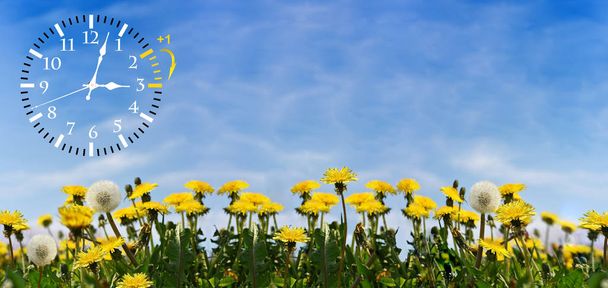 Zomer zomertijd (Dst). Blauwe lucht met gele paardebloemen. Draai de tijd vooruit (+ 1 uur)). - Foto, afbeelding