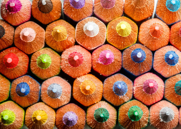 Assortment of colored pencils. Close up - 写真・画像