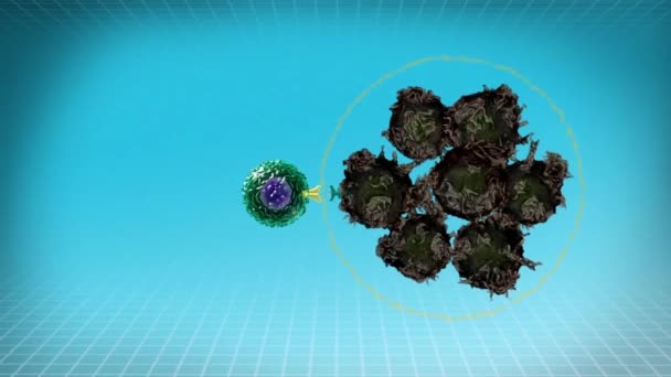 Animation of Inactive T cell, immune system - Footage, Video