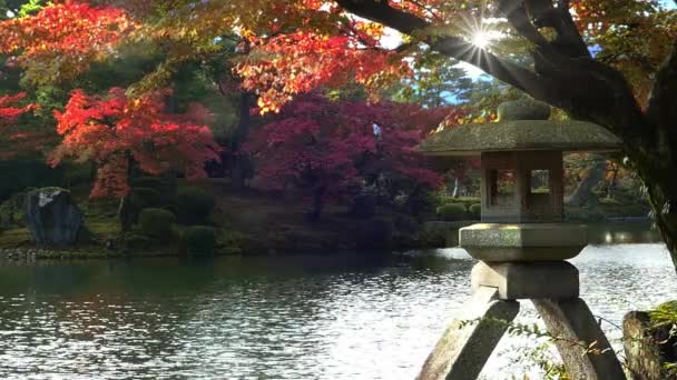Kanazawa, Ishikawa, Japan Herbstsaison in Kenrokuen Gardens - Filmmaterial, Video