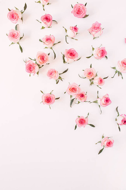 Na bílém pozadí ležela růžová růžová poupata a listoví. Horní pohled. - Fotografie, Obrázek