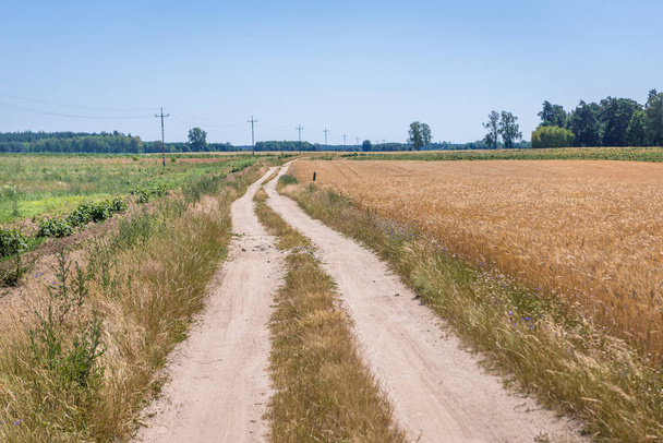 Estrada do país na Polónia
 - Foto, Imagem