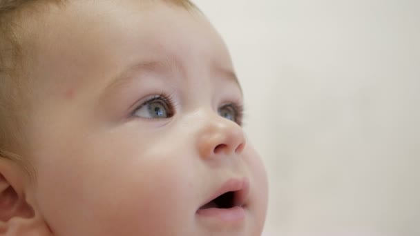 Bébé regarde attentivement
 - Séquence, vidéo