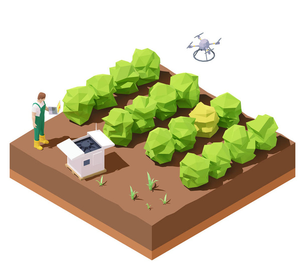 Vektorový izometrický zemědělský dron kontrolující pole plodin - Vektor, obrázek