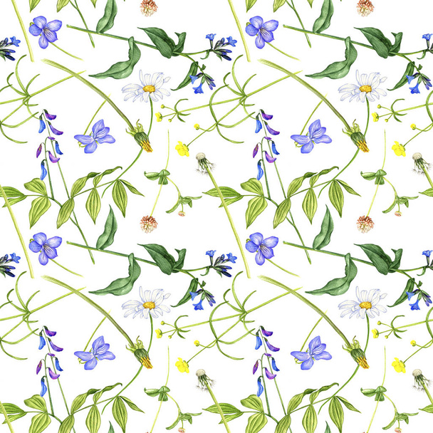 seamless pattern with wild plants and flowers - Zdjęcie, obraz