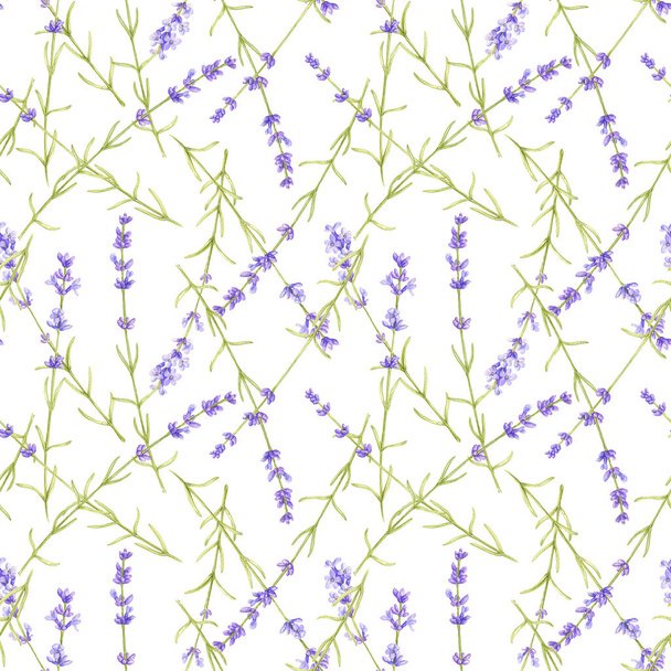 seamless pattern with wild plants and flowers - Zdjęcie, obraz