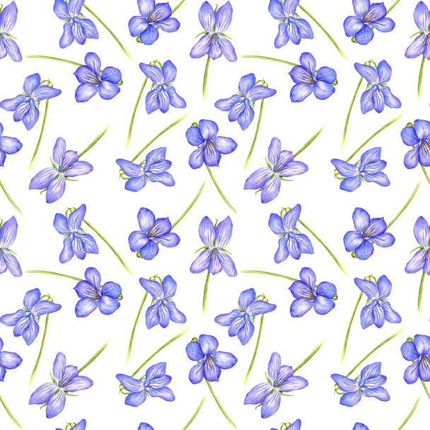 seamless pattern with wild plants and flowers - Foto, afbeelding
