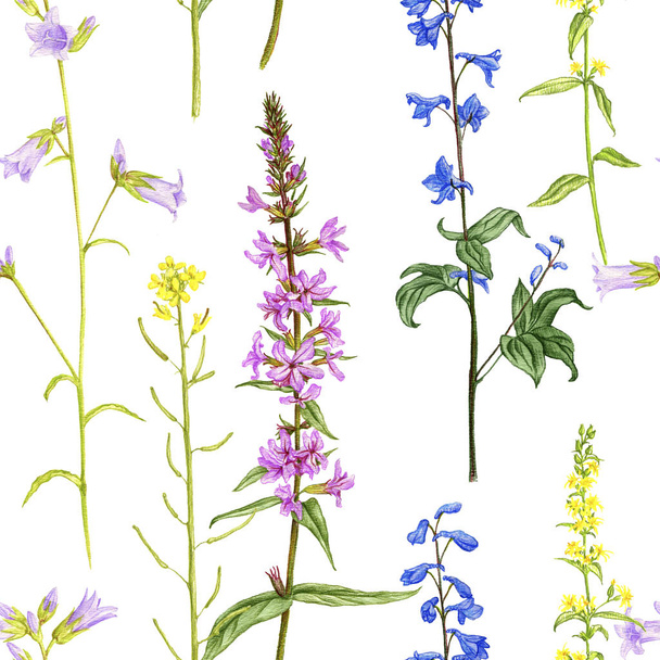 seamless pattern with wild plants and flowers - Valokuva, kuva