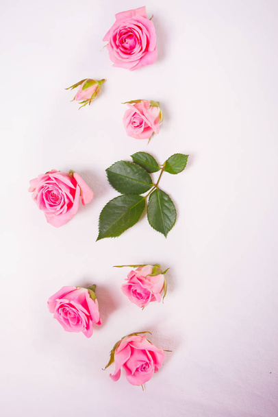 Pink color roses flowers on the white background. Copy space. Top view. - Foto, Imagen