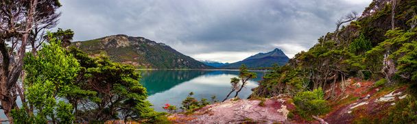 Vista panorámica del bosque austral mágico y las lagunas de color turquesa
 - Foto, Imagen