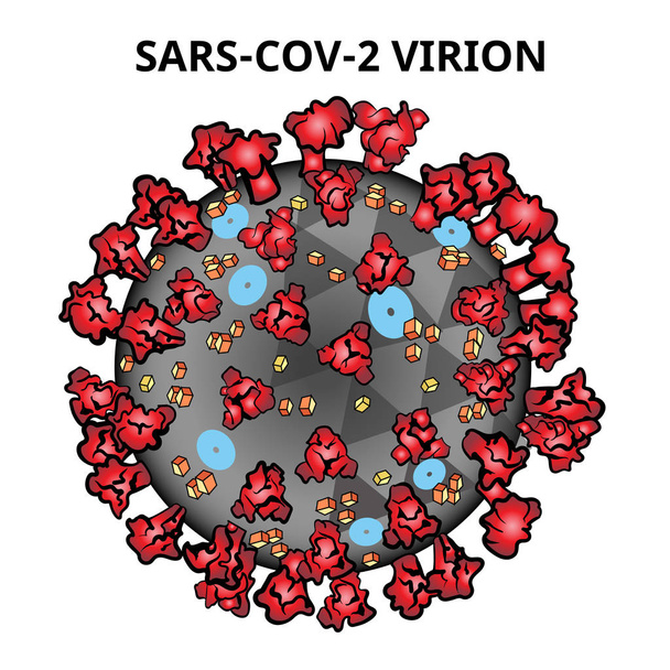 Coronavirus - Vettoriali, immagini