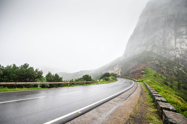 Wet, winding mountain road in the fog. the island of La Gomera. Canary. - Photo, Image