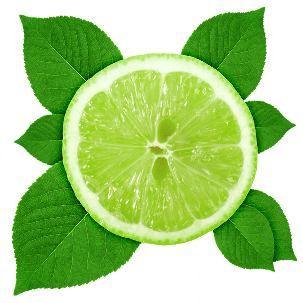 Single cross section of lime with green leaf - Φωτογραφία, εικόνα