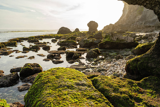 Sunny bay with green stones stock photo - Foto, Bild