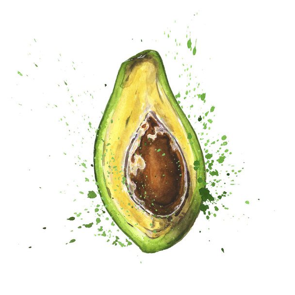 Cut in half avocado with core. Watercolor art - Φωτογραφία, εικόνα