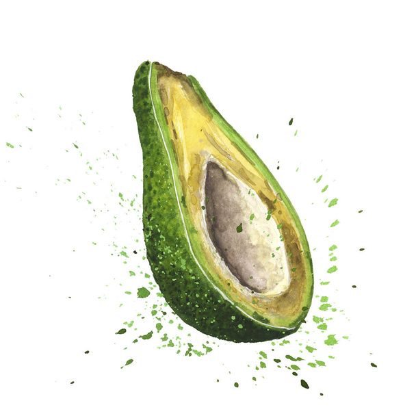 Cut in half avocado. Hand drawn watercolor art - Photo, Image