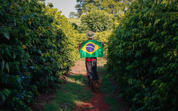 Αγρότης σε φυτεία καφέ με σημαία Βραζιλίας - Φωτογραφία, εικόνα