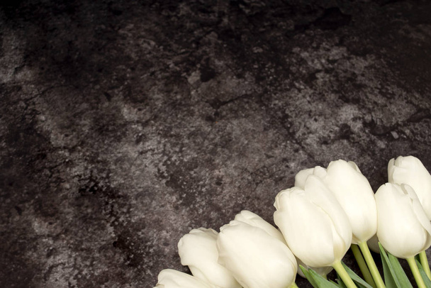 Tulipanes blancos sobre un fondo de hormigón oscuro. Fondo de la foto con tulipanes blancos. Fondo con tulipanes y espacio de copia
. - Foto, Imagen